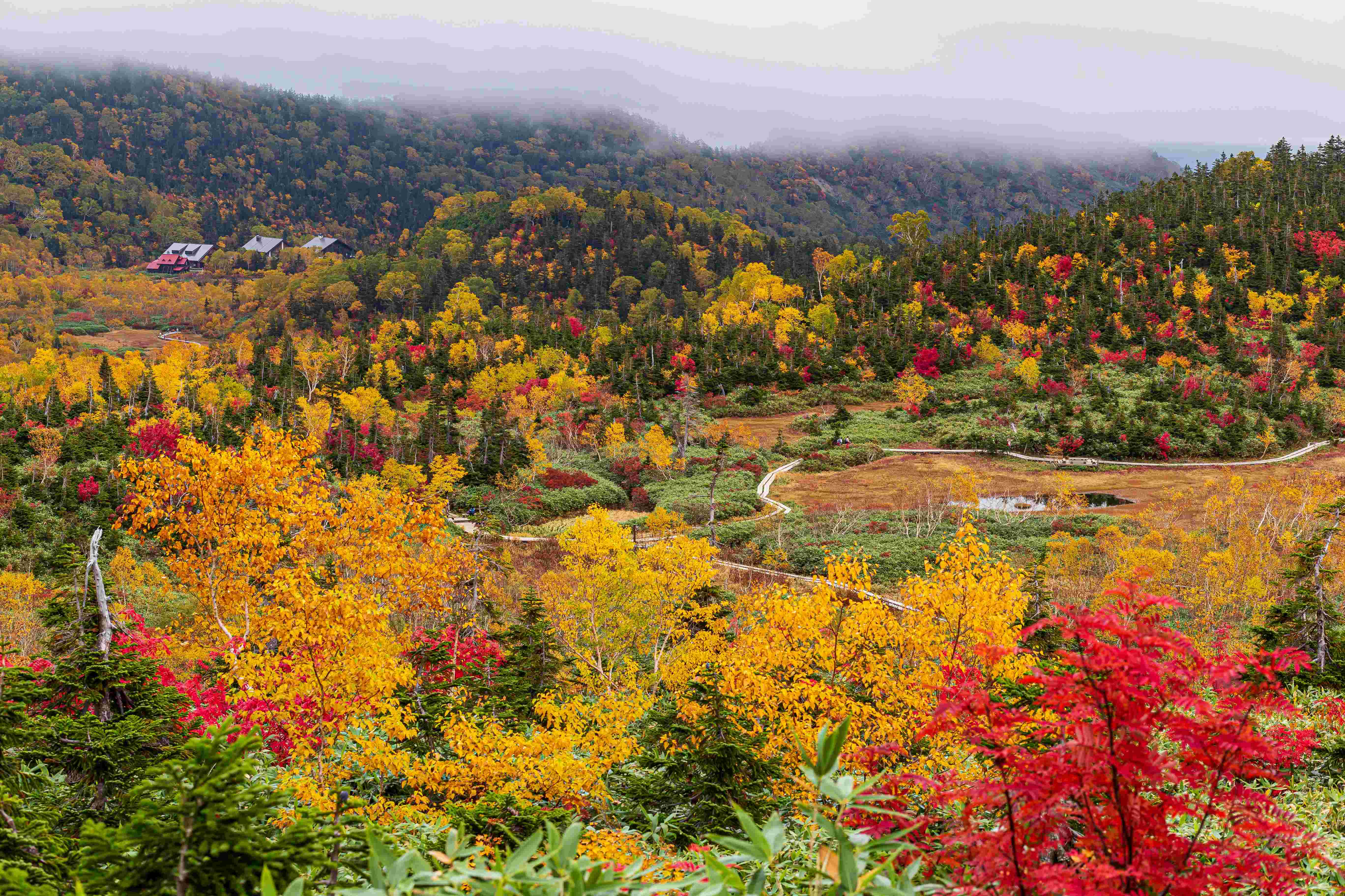 🌳 아오바다이 공원 이미지 8